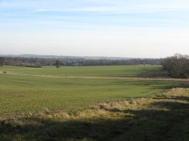 Field nr Toot Hill