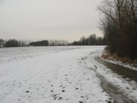 Path nr Fyfield