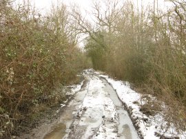 Byway leading to Pepper Green