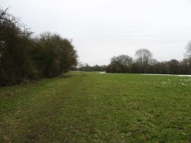 Fields nr Hayron's Lane