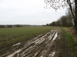 Byway heading towards Grange Road