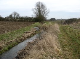 Walthambury Brook