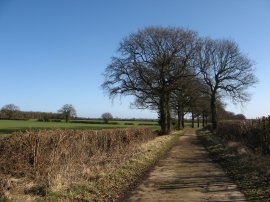 View down Pink Lane