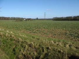 Byway heading towards Grange Road