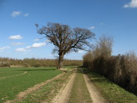 The path heading eastwards from Curd Hall Farm