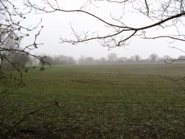 Field besides the River Brain