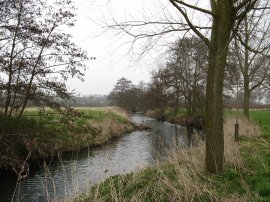 River Colne