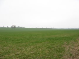 Fields nr Fordstreet