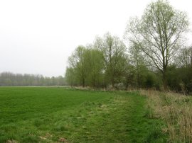 Besides the River Colne, Fordstreet