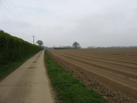 Bacon's Lane