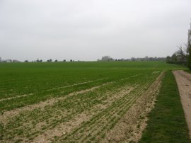 Approaching Carter's Vineyards
