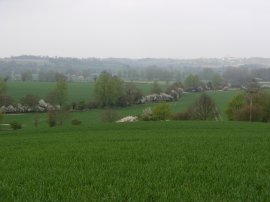 View towards Nayland