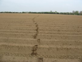 Field approaching Great Horkesley Chuch