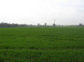 Heading towards the B1508