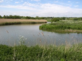 River Stour, nr Manningtree