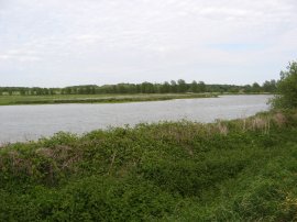 Pond besides the River Stour