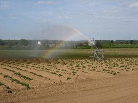 Water Sprinkler