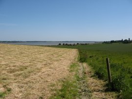 Fields nr Bradfield