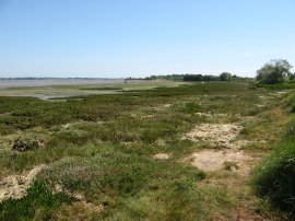 Besides the Stour Estuary