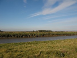 View across the Fens