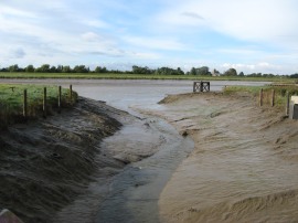 Mouth of the River Nar