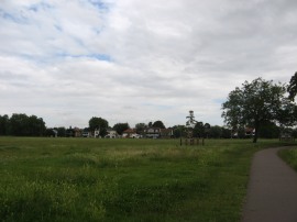 Midsummer Common