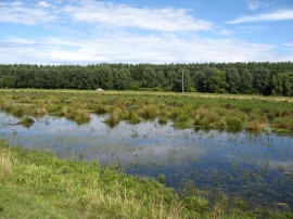 Wicken Washes