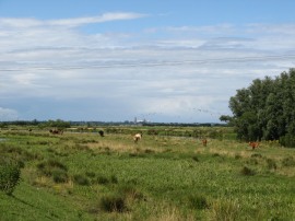 Wicken Washes