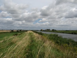 Overgrown path on top of the flood bank