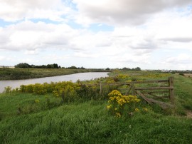 Path below Denver Sluice