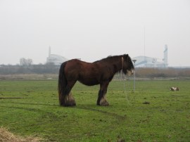 View over Erith Marshes