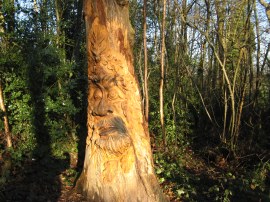 Carved Tree