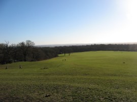 Oxleas Meadows