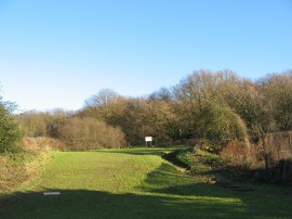 Approaching Bostall Woods