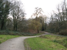 Maryon Wilson Park