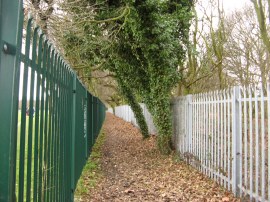 The path besides Eltham College Playing Fields