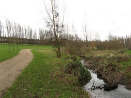 Chinbrook Meadows