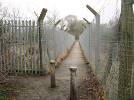 Bridge over the railway