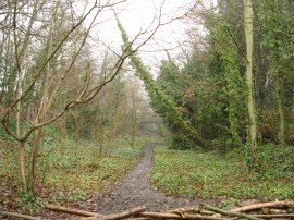 Path along the old railway