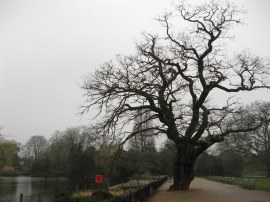 Dulwich Park