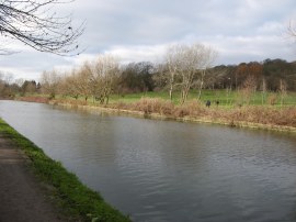 View towards Horsenden Hill