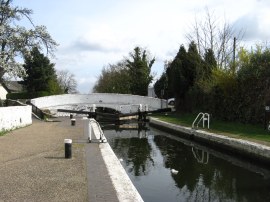 Norwood Top Lock