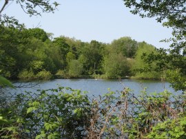 One of the many lakes in the Colne Valley