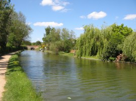 Canal heading towards Northchurch Lock