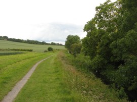 Towpath nr Bucklandwharf