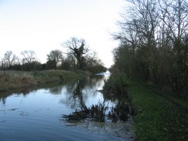 Aylesbury Arm