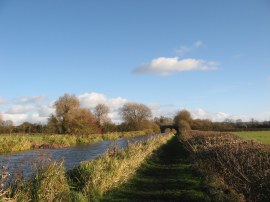 Aylesbury Arm