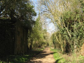 Path leading from the tunnel