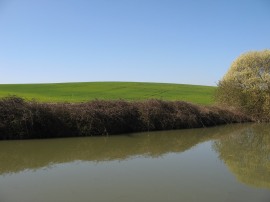 Canal nr Blisworth