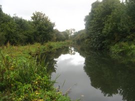 River Stort nr Latton Lock